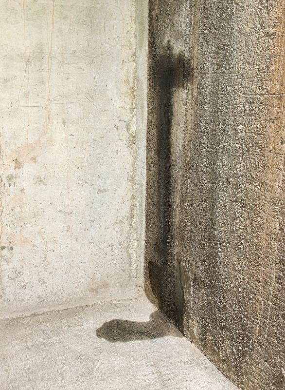 Foundation Leak Repair in Fort Collins, CO